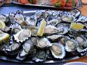 Oyster